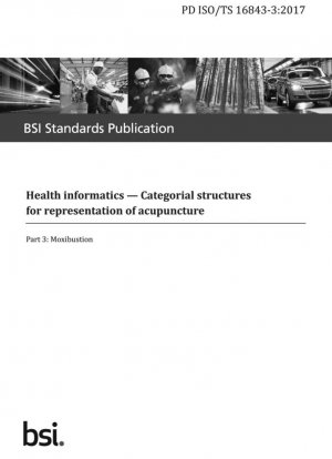 Informática de la salud. Estructuras categoriales para la representación de la acupuntura. Moxibustión