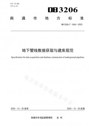 Adquisición de datos de tuberías subterráneas y especificaciones de construcción de bases de datos.