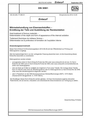 Tratamiento térmico de materiales de hierro: determinación de la profundidad y formación de oxidación de los bordes.